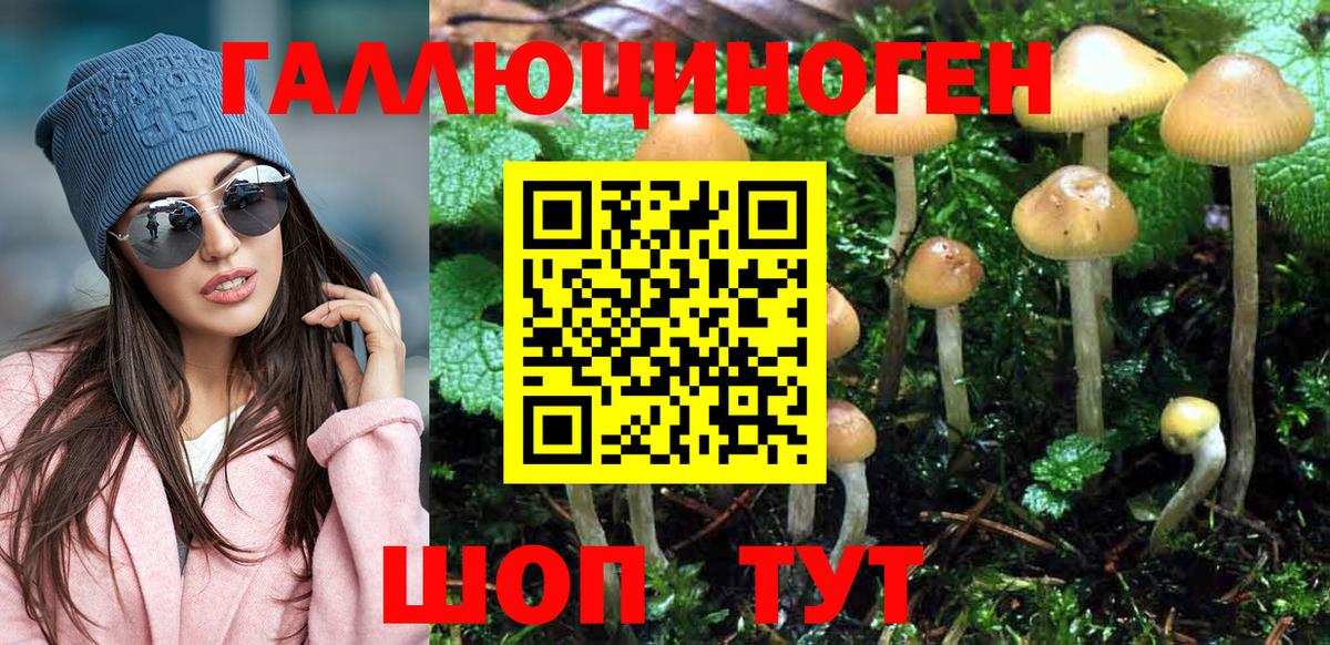 Медногорск  Галлюциногенные грибы Cubensis  Вход с VPN  Псилоцибиновые грибы прущие грибы 